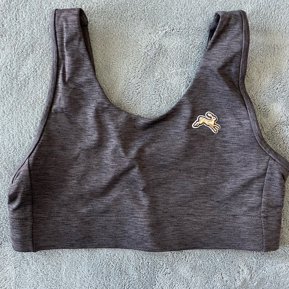 Tracksmith session sports bra, NWT